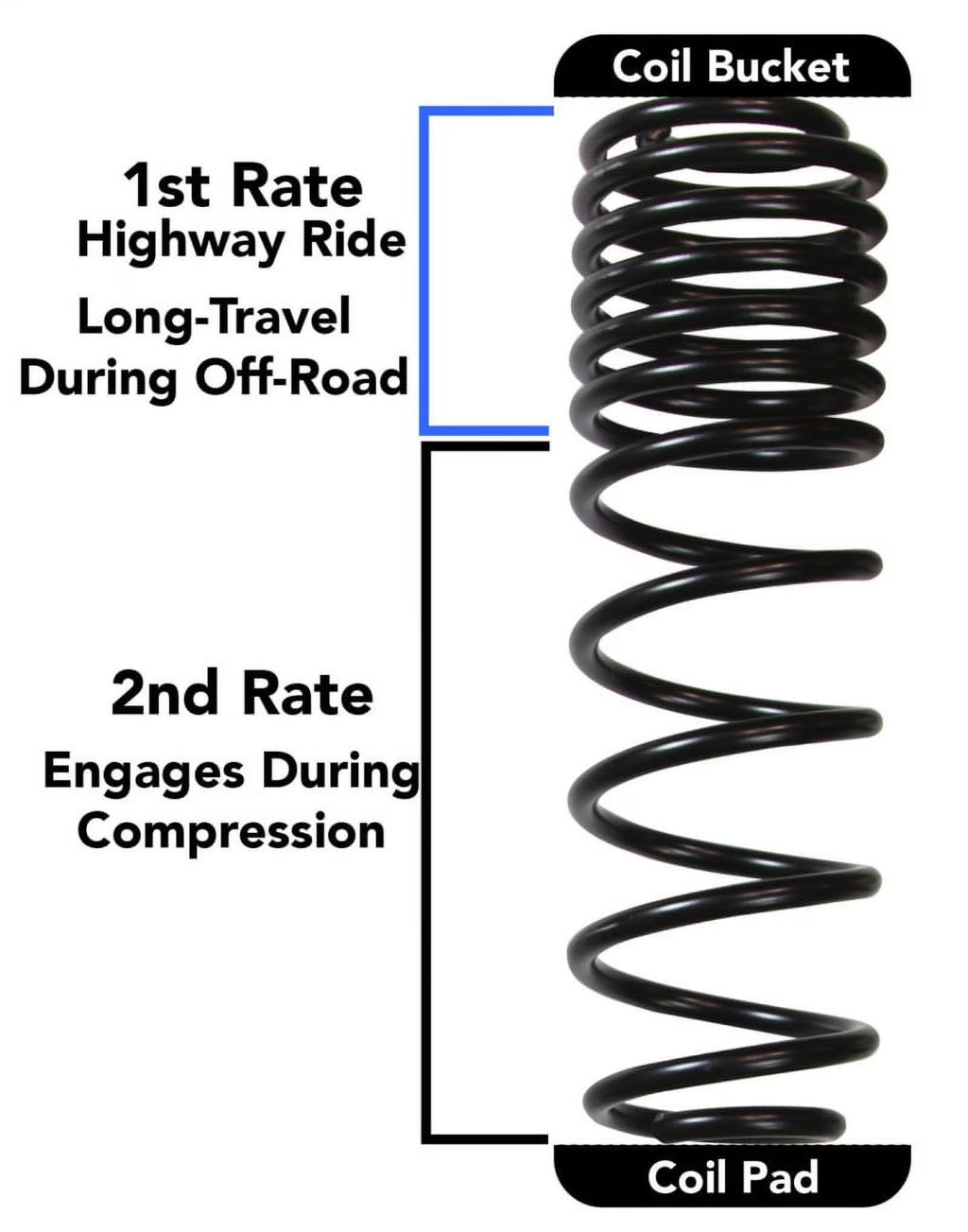 Coil System for Jeep Wrangler JL 4 Door 4WD F428