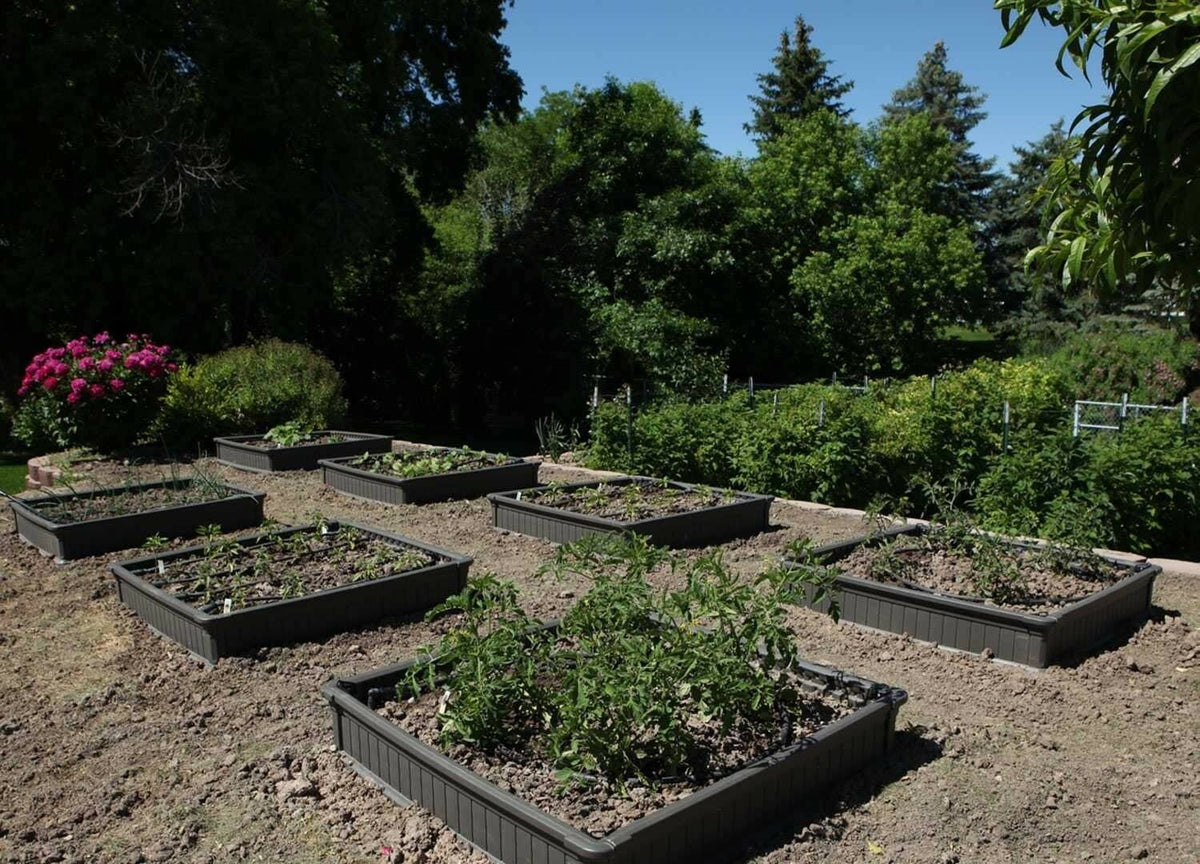 Gray Raised Garden Bed O97503