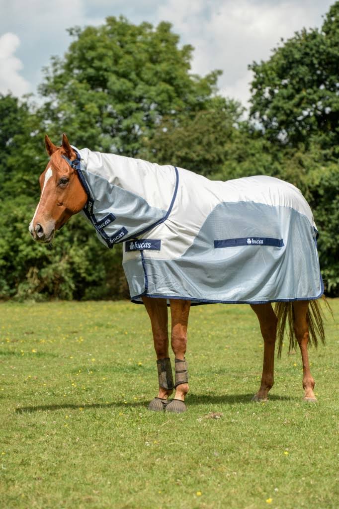 Silver / Blue Rain Full Neck M704102