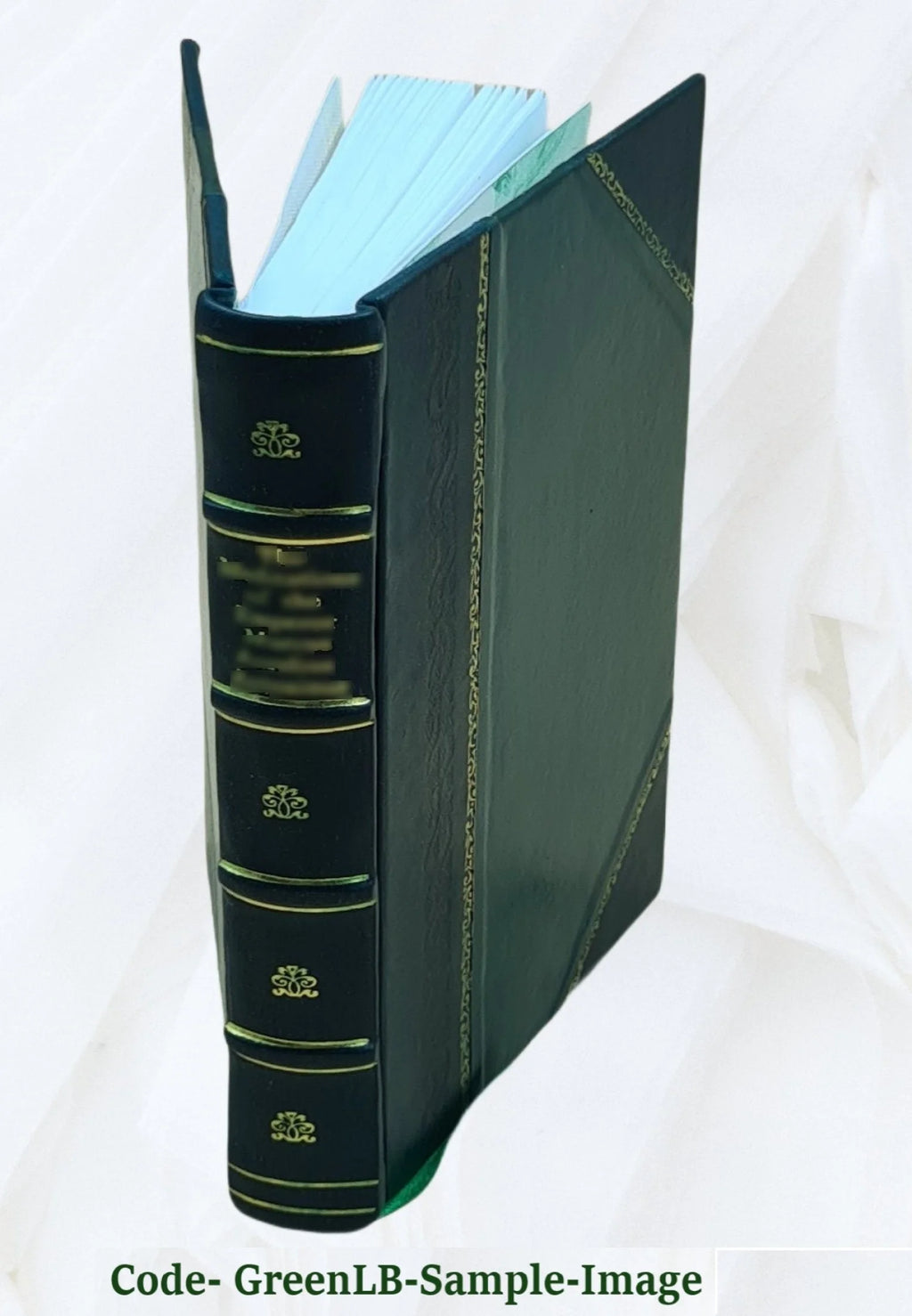 Leather Bound Book W1746