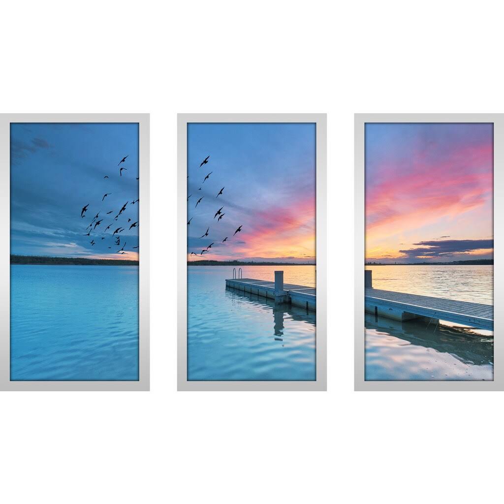 3 Piece Framed Photographic Print Set F753564
