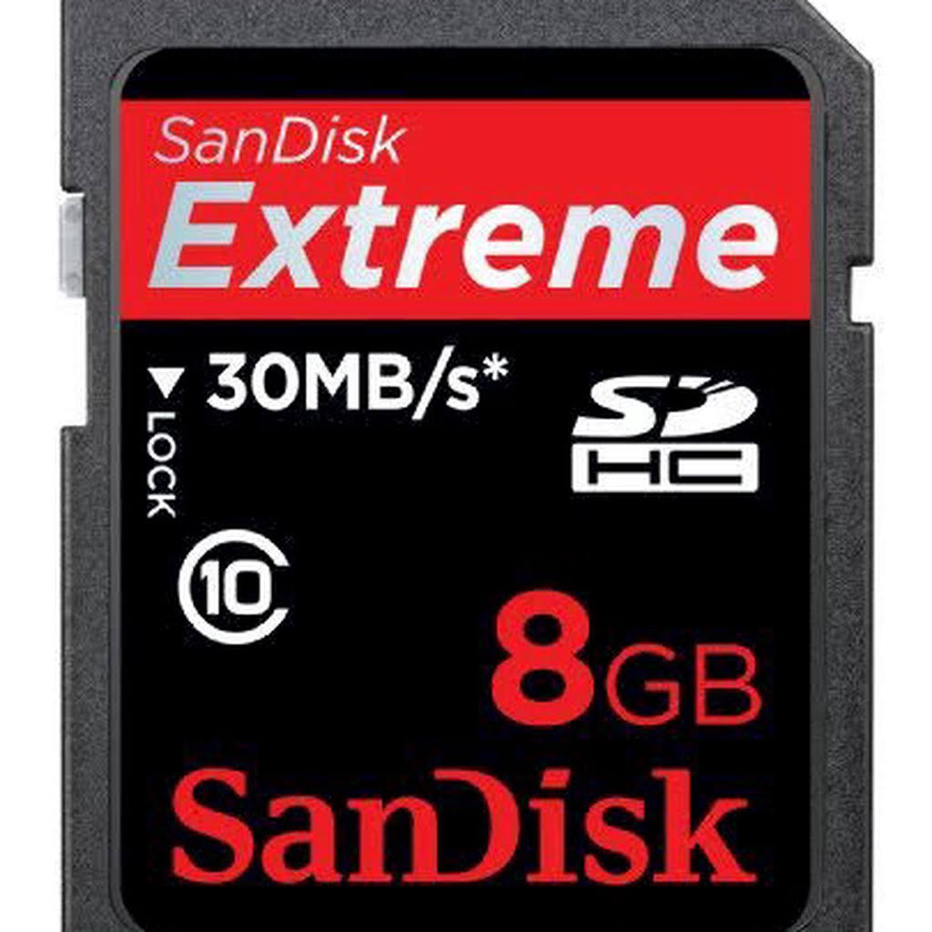 8GB Extreme Sdhc Class 10 Memory Card O42901