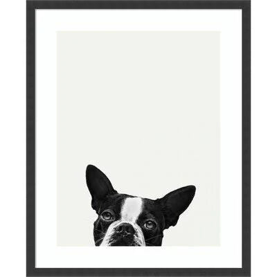 Photograph Print on Paper M81401