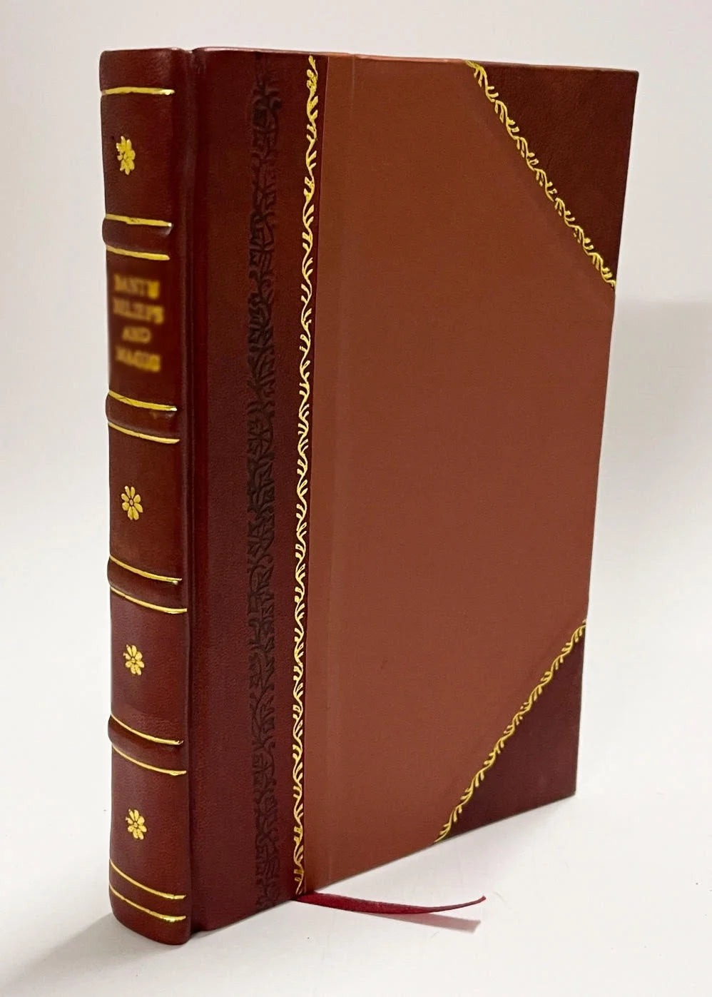 Leather Bound Book V36641