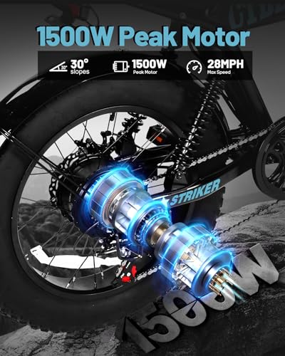 20"/16" Electric Bike, Peak 1500W/1200W, 48V 15.6Ah/10.4Ah Fat Tire Full Suspension Electric Dirt Bike I91584