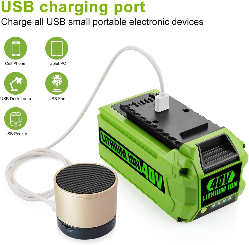 40V Lithium Ion Battery Pack of 2 D7128