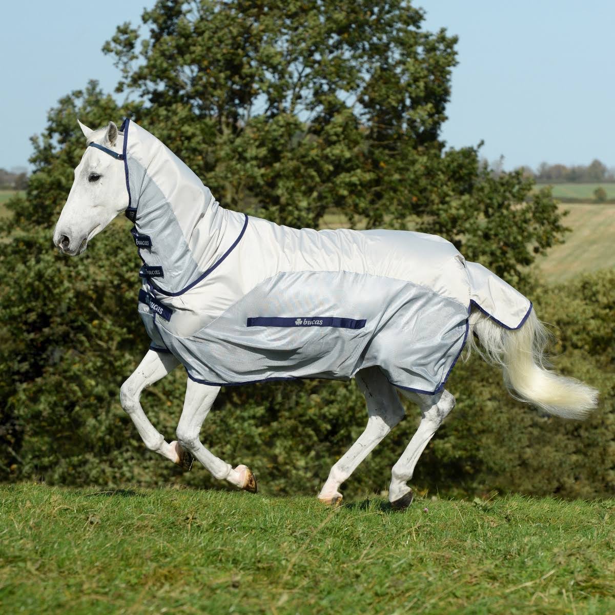 Silver / Blue Rain Full Neck M704102