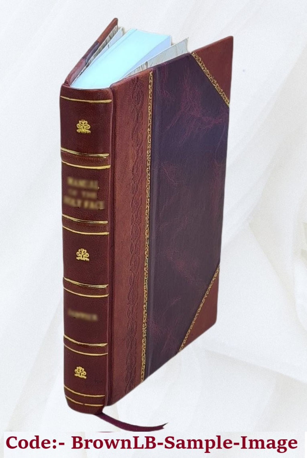 Leather Bound Book L816