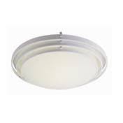 Brushed Nickel 1-Light Flush-Mount E23092