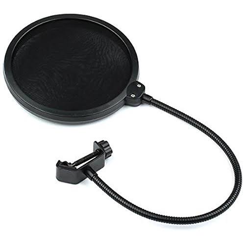 Handheld Microphone with XLR Cable and Pop Filter N6591