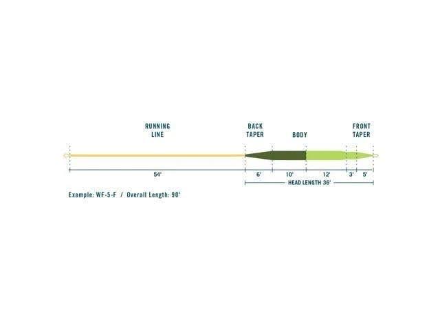 WF8F Fly Line E7695