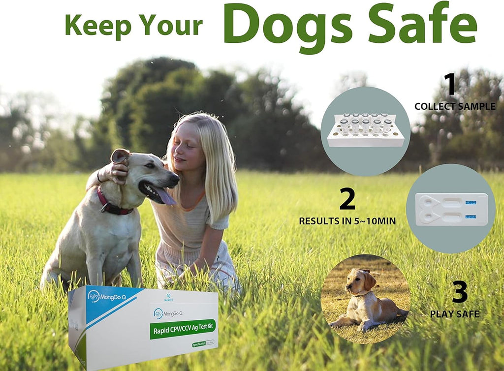 Canine Mouth and Nose Secretions Rapid Ag Testing Kit (Pack of 10) Q10266