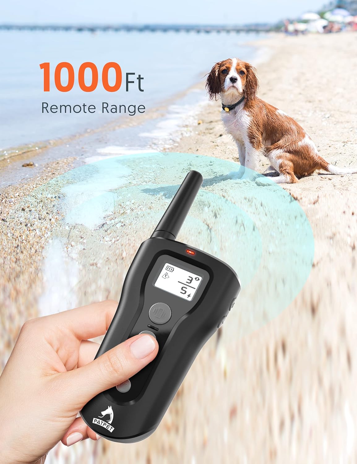2 Dogs Remote Training Collar Pack of 2 D849
