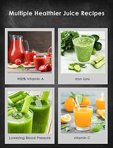 Slow Masticating Juicer G854