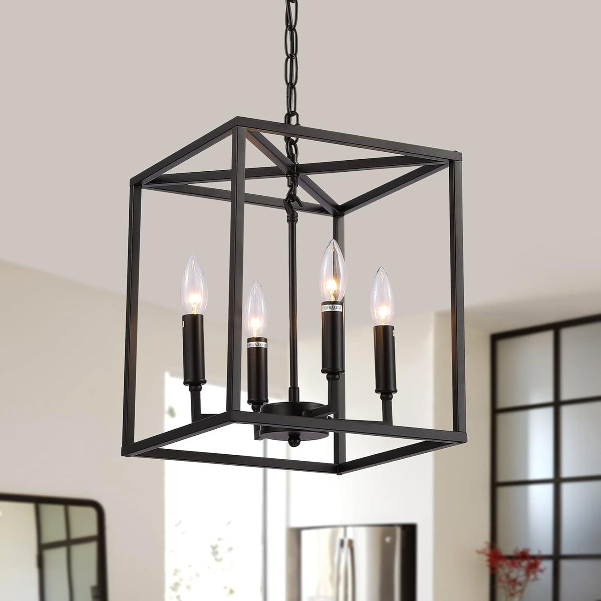 Matte Black 4-Light Metal Cage Pendant Light Chandelier D2674