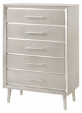 Metallic Sterling 5-Drawer Chest E377