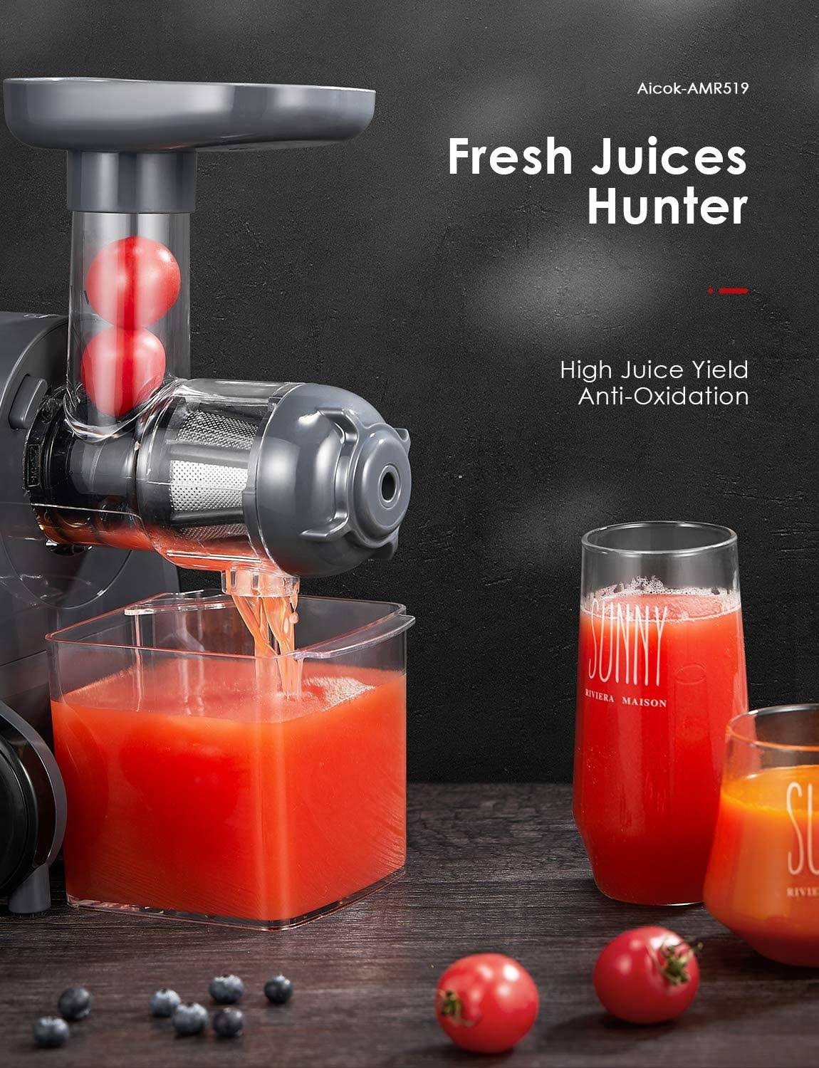 Slow Masticating Juicer G854