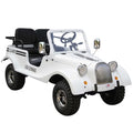 Classic Willy Motorcycle S4791