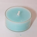 Mint Unscented Tealight Candle Set of 12 E644