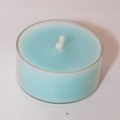 Mint Unscented Tealight Candle Set of 12 E644