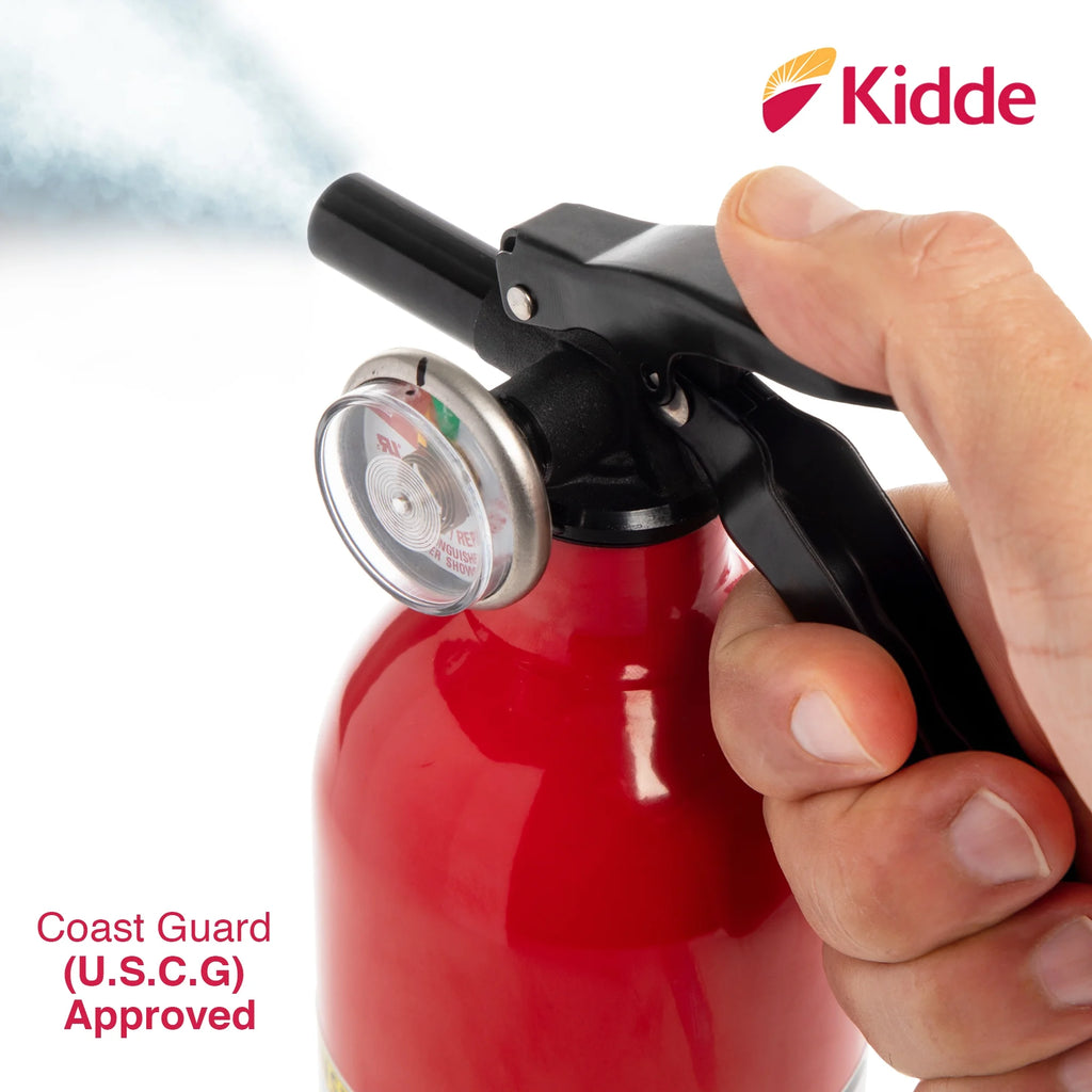 2.5 lbs Fire Extinguisher C59138