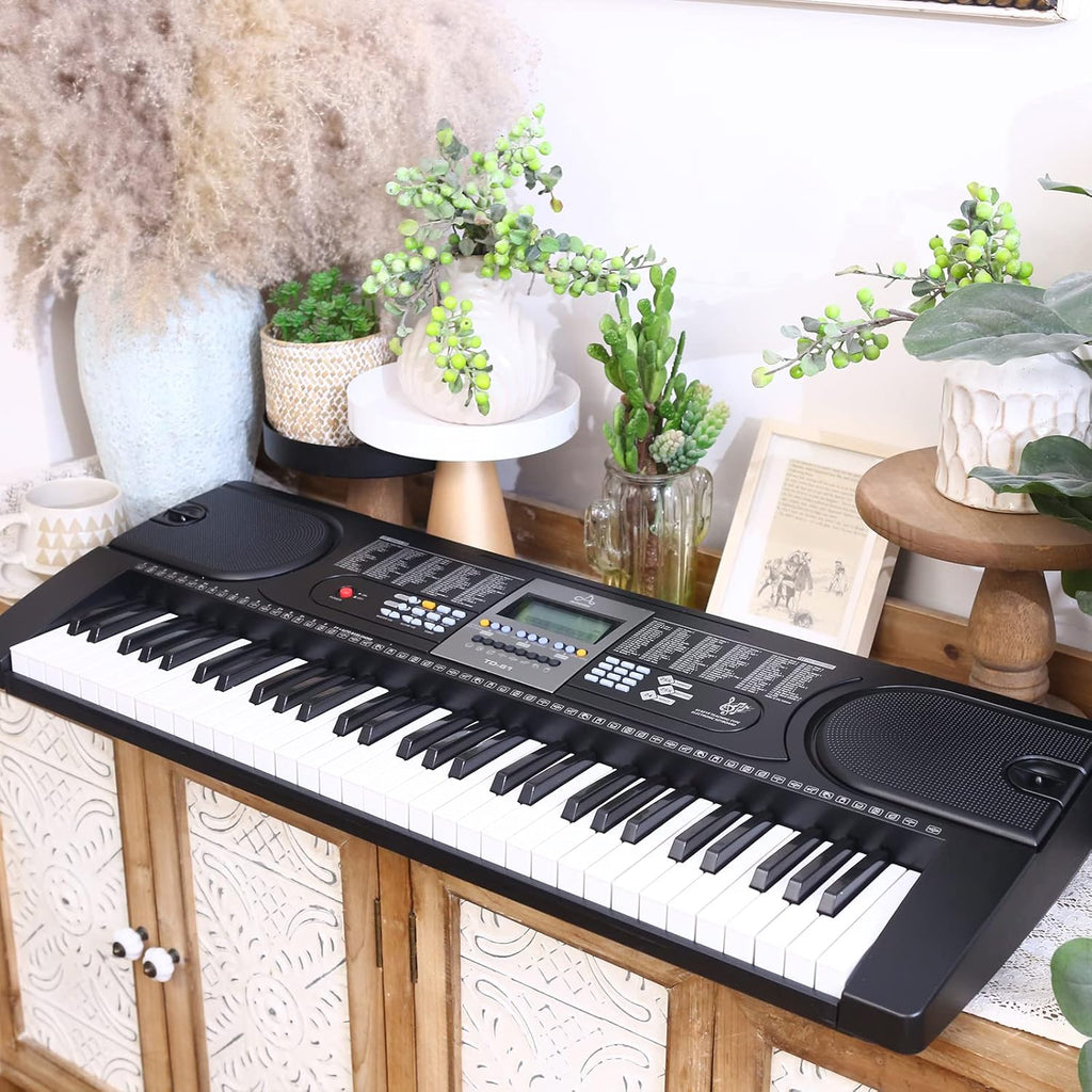 61 Key Keyboard Piano with LCD Display, 255 Sounds, Microphone, 3.5mm Audio Cable, 24 Demo Songs Z6014