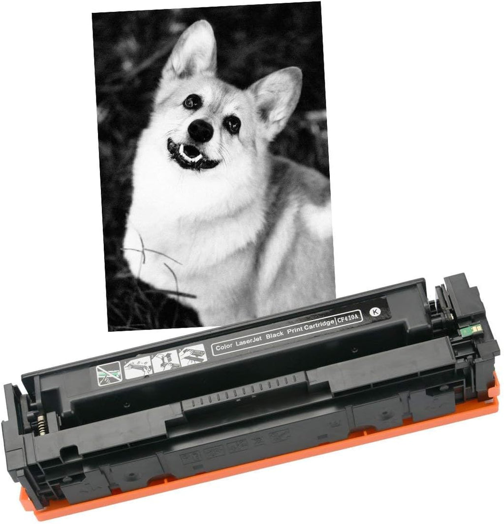 2 Pack Black Compatible Toner Cartridges F52010