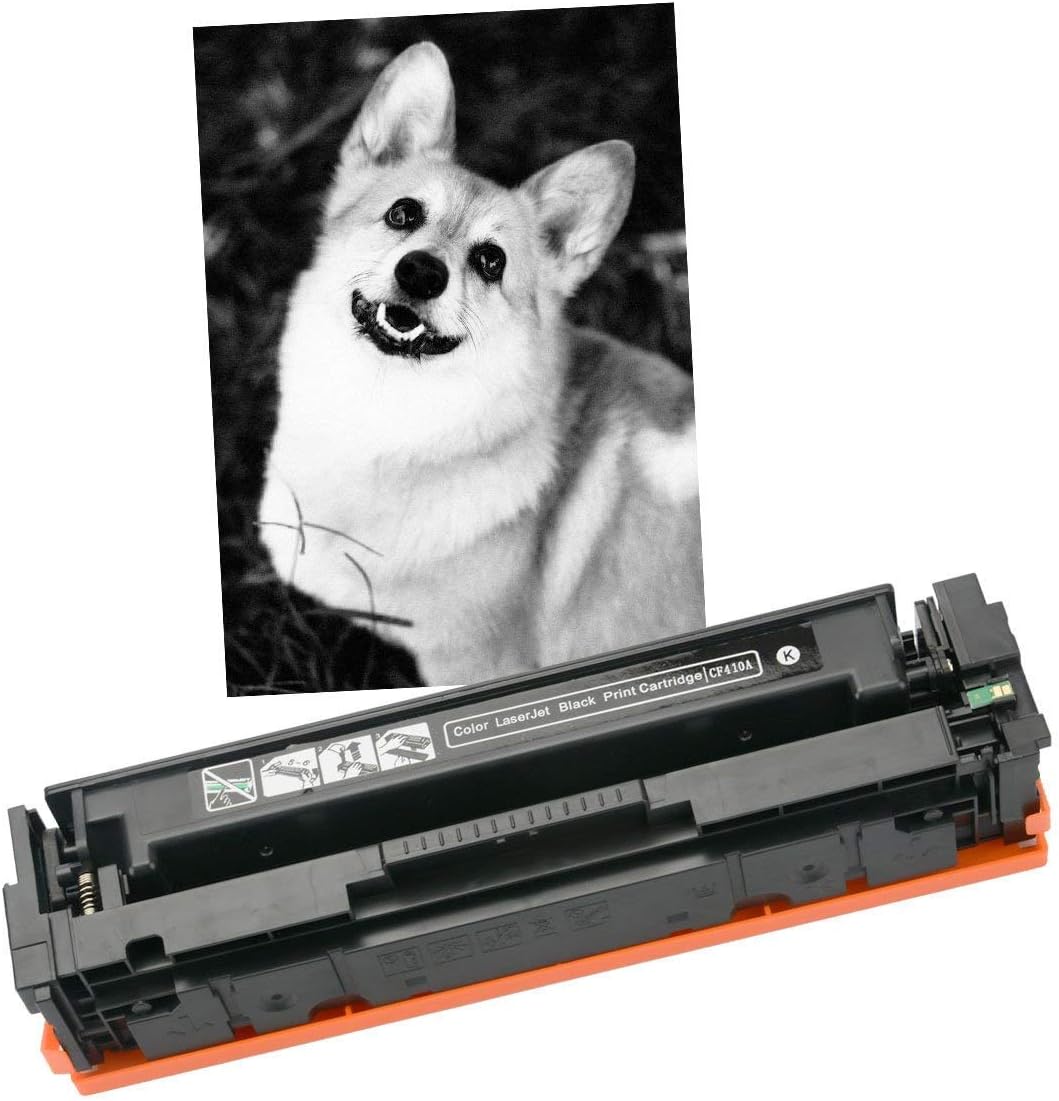 2 Pack Black Compatible Toner Cartridges F52010