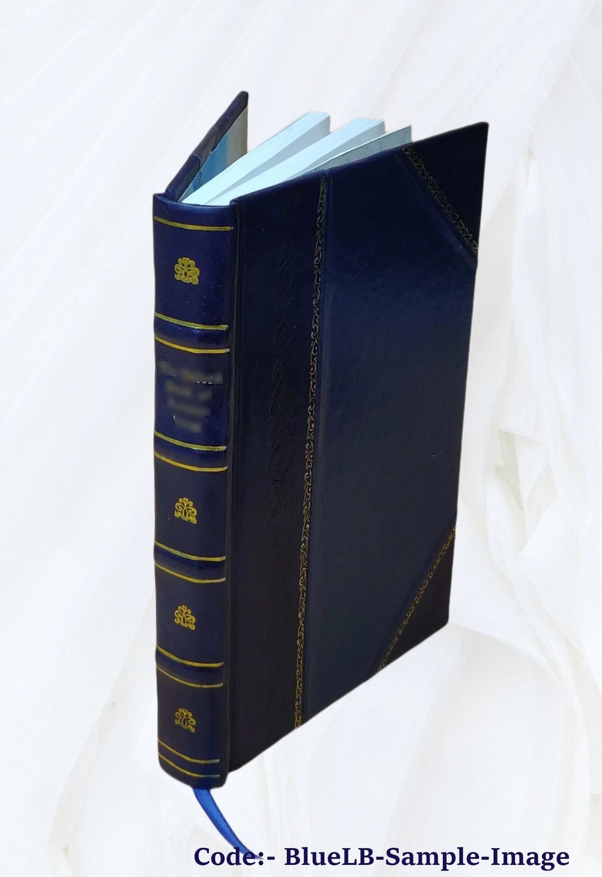 Leather Bound Book W1746