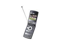 3G Feature Phone with microSD Slot and 2 MP Rear Camera D8690