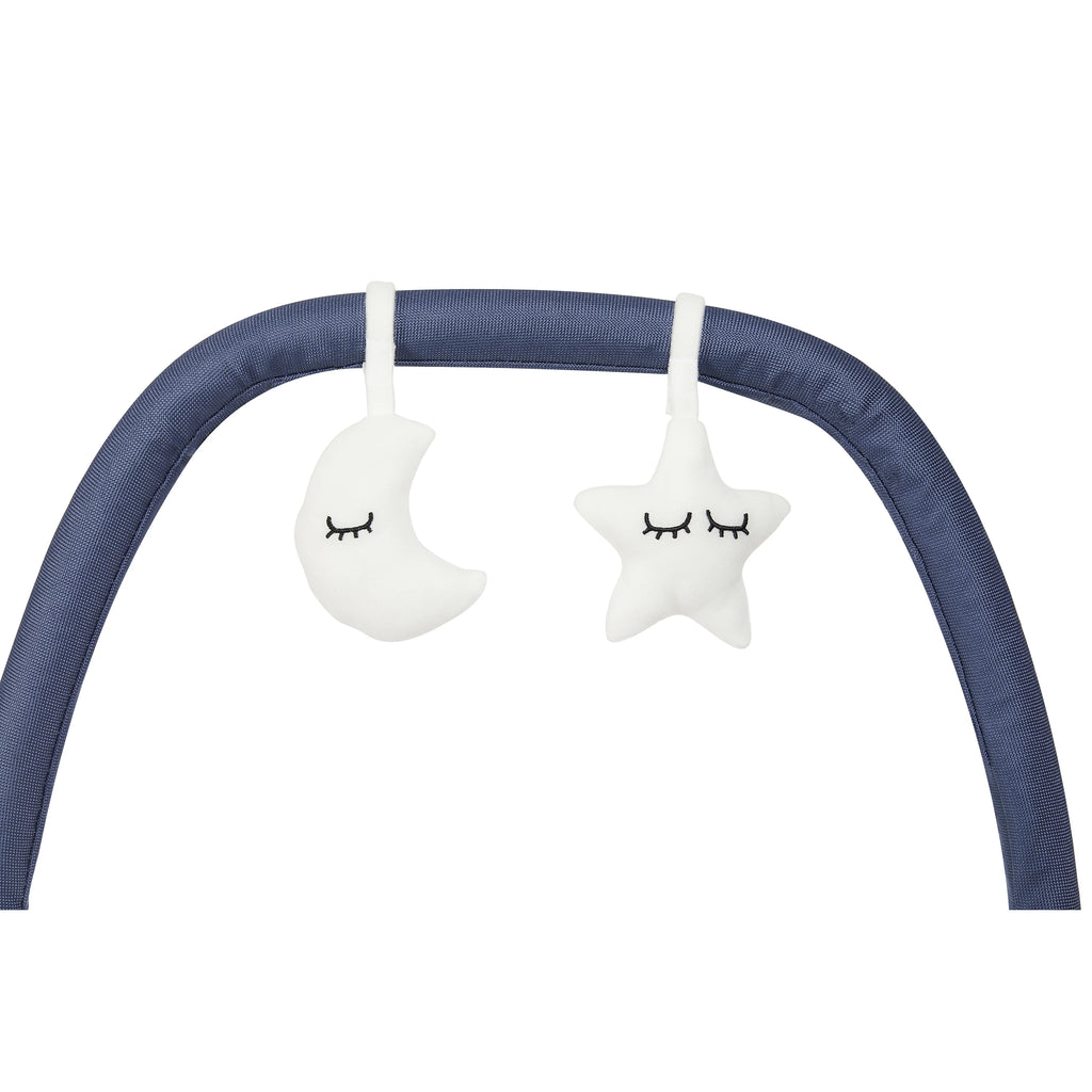2-in-1 Baby Rocker and Stationary Seat F246