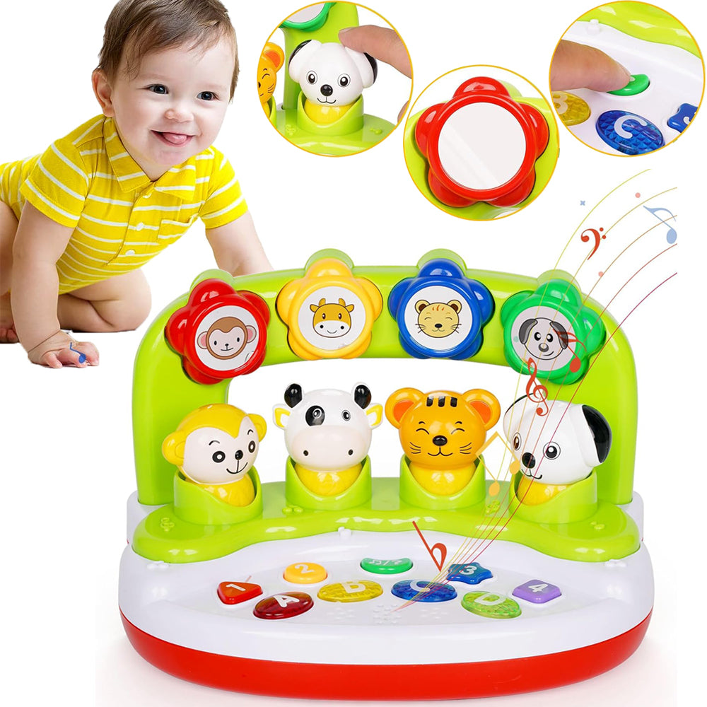 Learning Educational Toys for 1 2 Year Old Boys Girls T4504