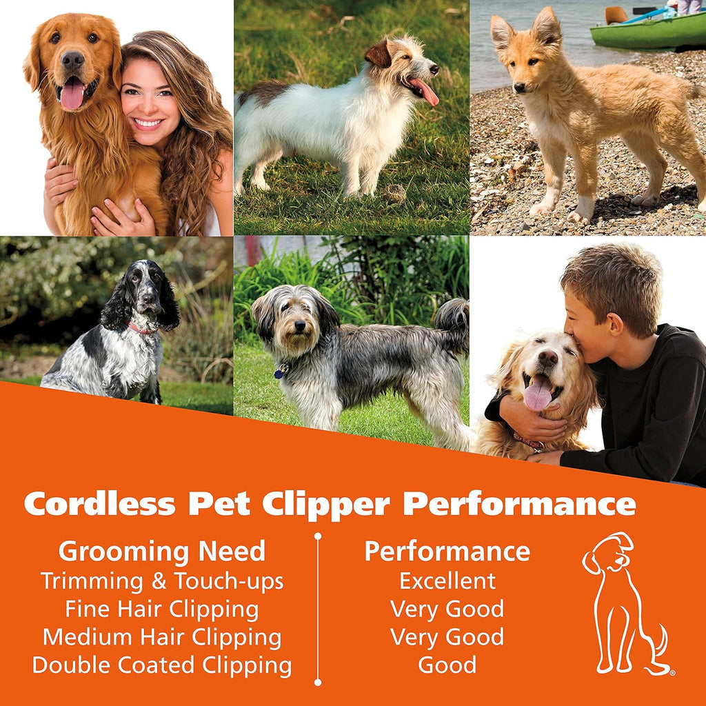 Rechargeable Dog Grooming Kit, Silver, 10 Piece Set J61852