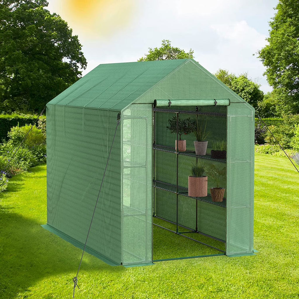 8 FT Pop-up Walk-in Greenhouse with Shelves B804325