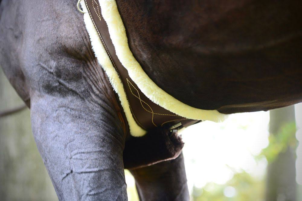 Anatomical Saddle Girth with Lambskin B171782