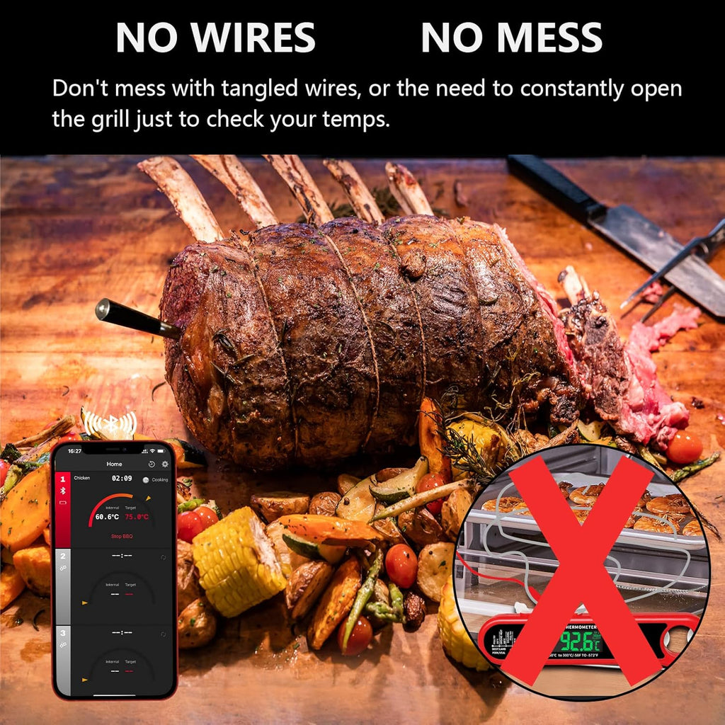 Wireless Meat Thermometer with Bluetooth, 165ft Range, Rechargeable, 1-Probe D5519