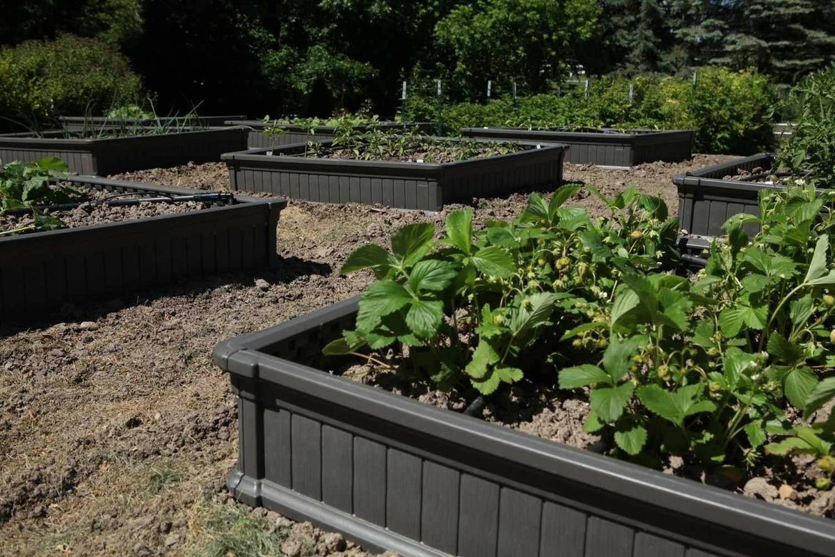 Gray Raised Garden Bed O97503