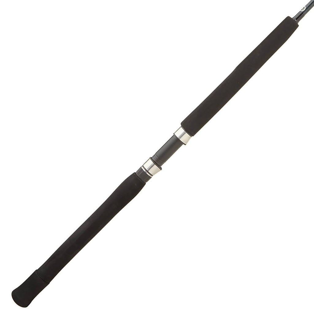 Blue Water Casting Rod N854680