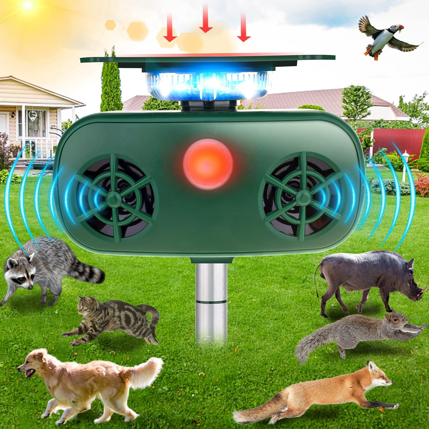 Ultrasonic Solar Powered Animal Repellent with Motion Sensor A558208