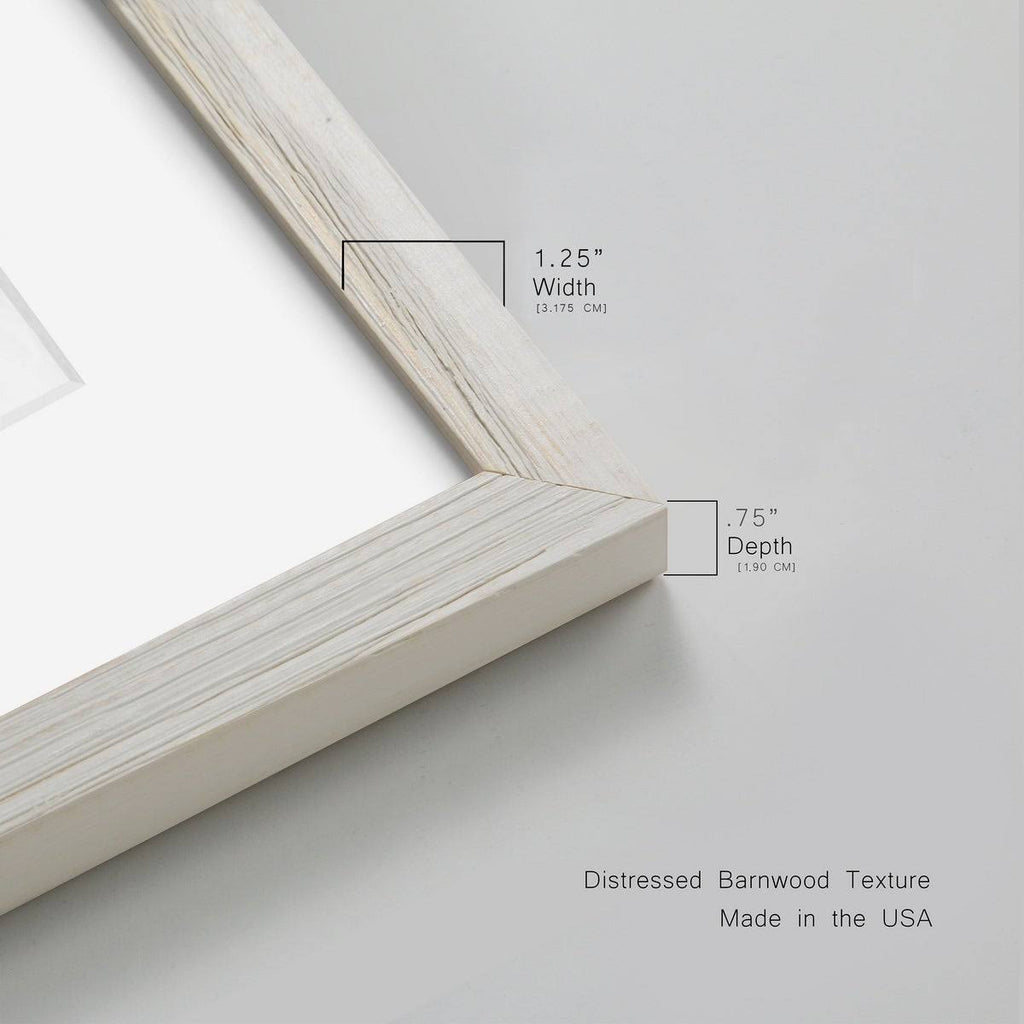 Framed Canvas - 27.5X37.5 - Walnut S2562