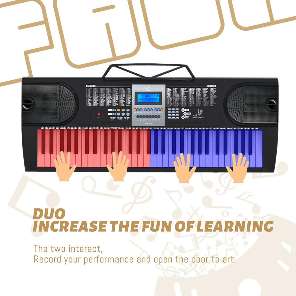 61 Key Keyboard Piano with LCD Display, 255 Sounds, Microphone, 3.5mm Audio Cable, 24 Demo Songs Z6014