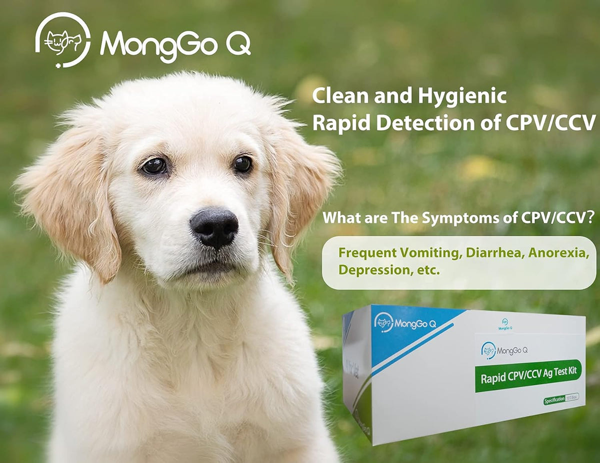 Canine Mouth and Nose Secretions Rapid Ag Testing Kit (Pack of 10) Q10266