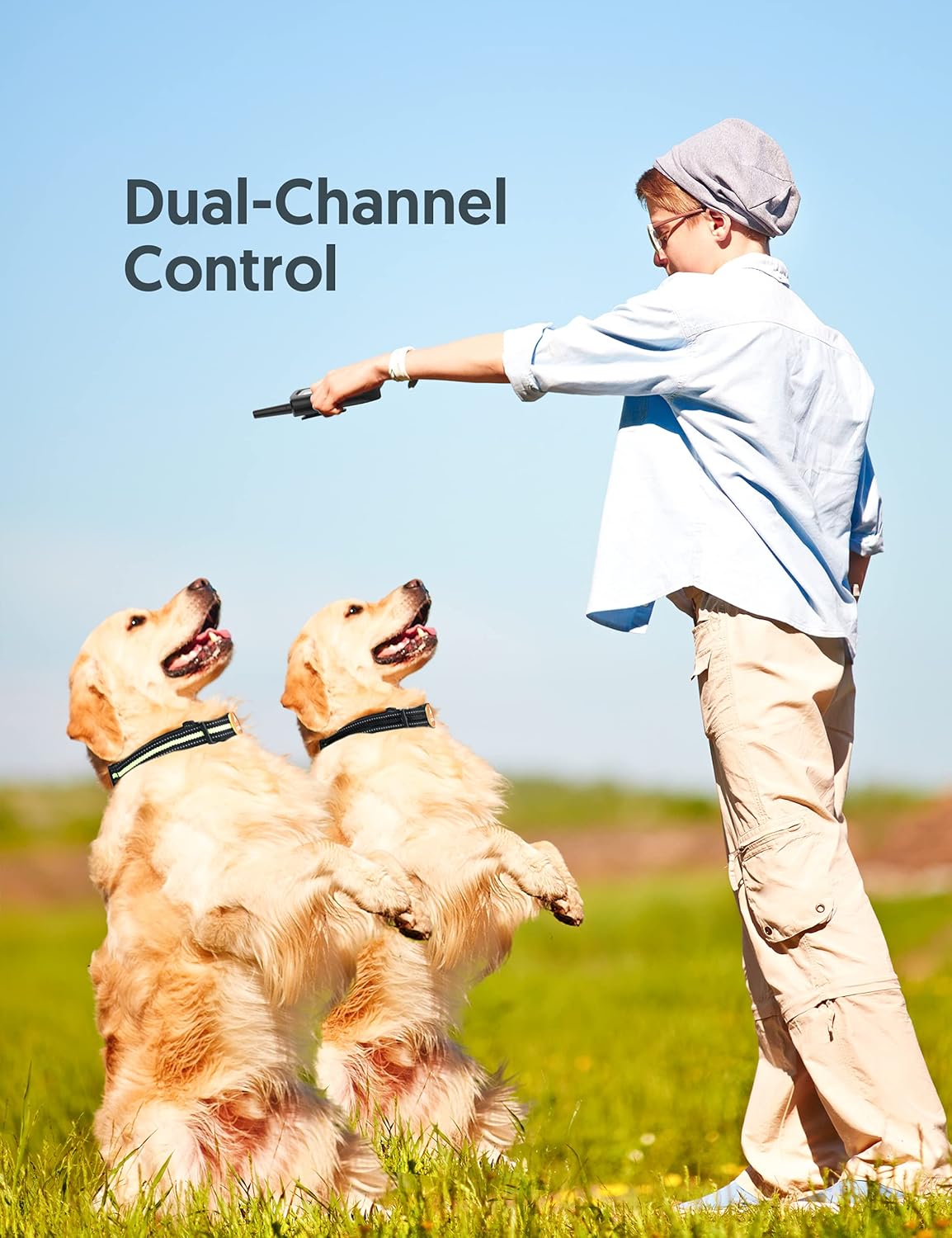 2 Dogs Remote Training Collar Pack of 2 D849