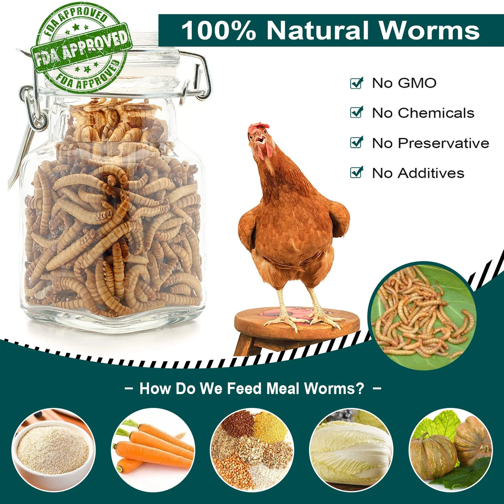 11LB Non-GMO Dried Mealworms L97752