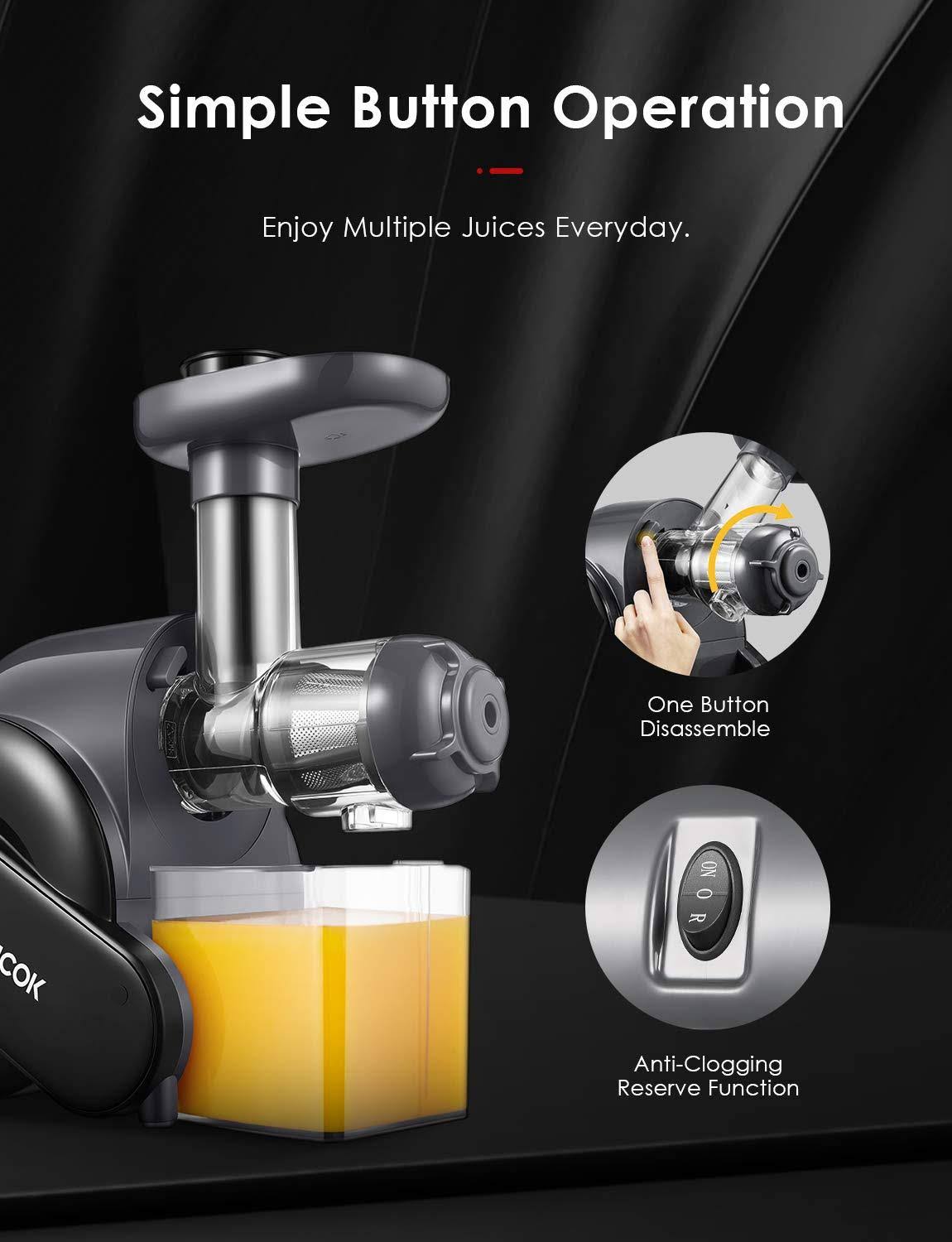 Slow Masticating Juicer G854