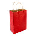 Red Paper Retail Bag with Handles, 16 inch x 9 3/4 inch x 17 1/4 inch, 100 Count Box D996