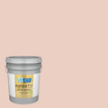 Interior Paint (5-Gallon) M300121