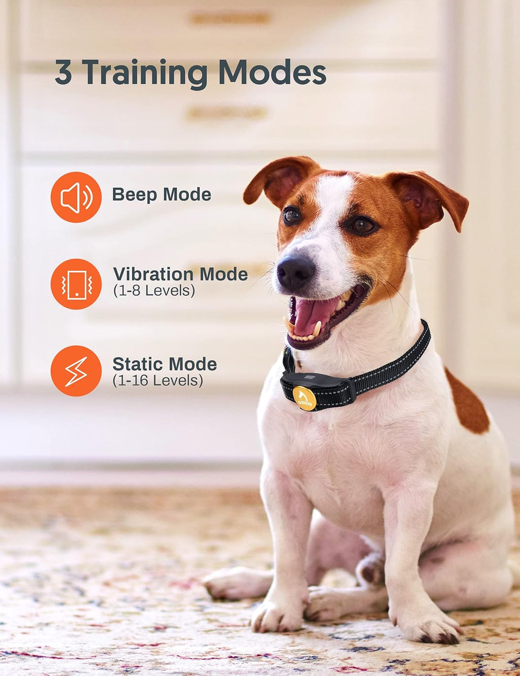 2 Dogs Remote Training Collar Pack of 2 D849
