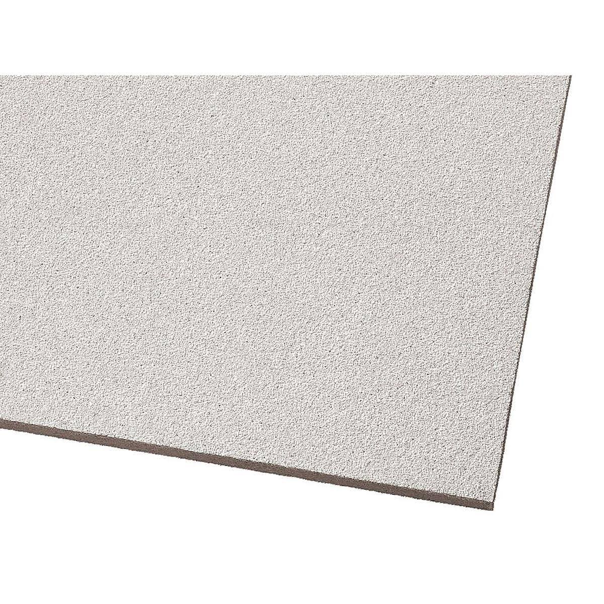 Acoustical Ceiling Panel, 24x48x5/8 in., 6 per Case N987674