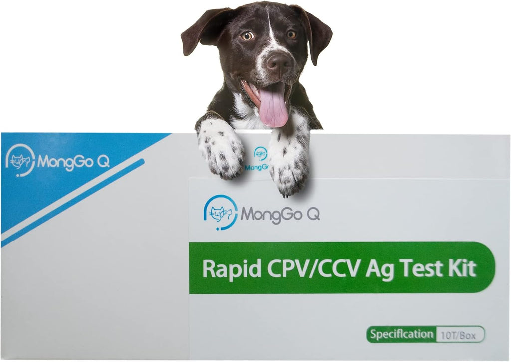Canine Mouth and Nose Secretions Rapid Ag Testing Kit (Pack of 10) Q10266